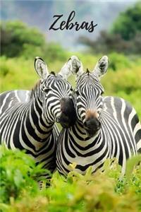 Zebras