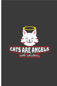 Cat are Angels with Whiskers