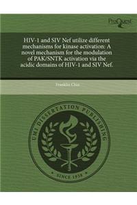 HIV-1 and Siv Nef Utilize Different Mechanisms for Kinase Activation: A Novel Mechanism for the Modulation of Pak/Sntk Activation Via the Acidic Domai