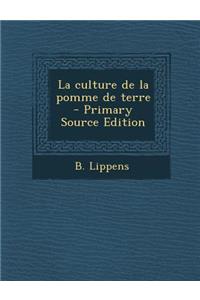 La culture de la pomme de terre