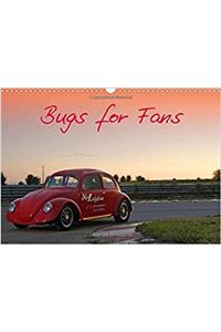 Bugs for Fans 2017