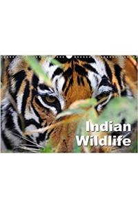 Indian Wildlife 2018