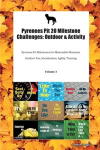 Pyrenees Pit 20 Milestone Challenges