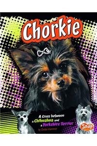 Chorkie