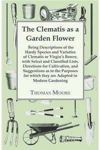 Clematis as a Garden Flower