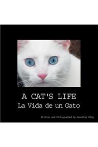 A Cat's Life