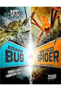 Assassin Bug vs. Ogre-Faced Spider