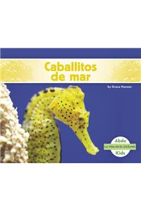 Caballitos de Mar