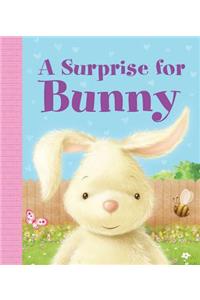 Surprise for Bunny