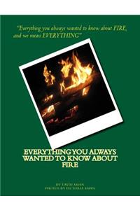 Everything You Always Wanted to Know About Fire