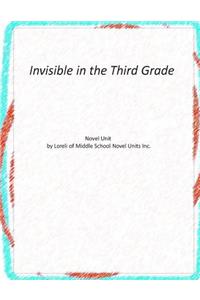 Novel Unit for Invisible in the Third Grade