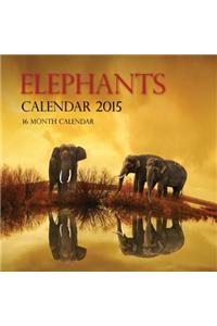 Elephants Calendar 2015