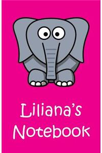 Liliana's Notebook