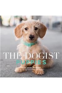 Dogist Puppies