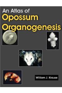 Atlas of Opossum Organogenesis