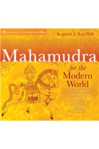 Mahamudra for the Modern World