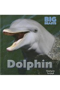 Dolphin
