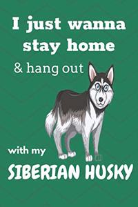 I just wanna stay home & hang out with my Siberian Husky