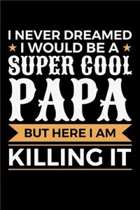 I Never Dreamed I would Be A Super Cool Papa But Here I Am Killing It