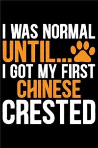 I Was Normal Until I Got My First Chinese Crested