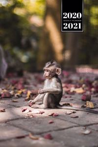 Monkey Ape Week Planner Weekly Organizer Calendar 2020 / 2021 - Very Small One