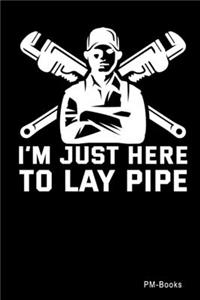 IMjust Here To Lay Pipe