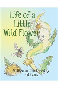 Life of a Little Wild Flower