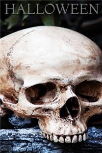 Halloween, Skull Notebook, Memory Book to Write or Draw , 6x9, 100 Beautiful Pages, Notes, Journal, Memory Book