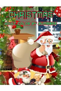 Christmas Adult Color By Numbers