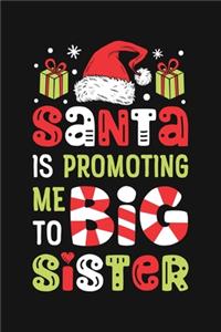 Santa is Promoting Me To Big Sister
