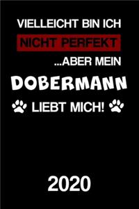 Dobermann 2020