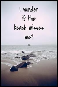 I Wonder If The Beach Misses Me?