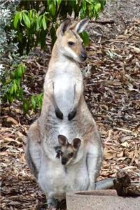Kangaroo Says, I'd Love to Help You Carry Stuff, But My Pouch Is Full Journal