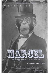 Marcel the Forgotten Circus Chimp