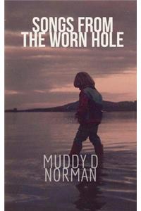 Songs from the Worn Hole