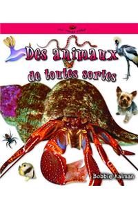 Des Animaux de Toutes Sortes