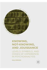Knowing, Not-Knowing, and Jouissance