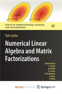 Numerical Linear Algebra and Matrix Factorizations
