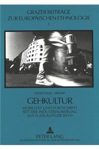 Gehkultur: Mobilitaet Und Fortschritt Seit Der Industrialisierung Aus Fußlaeufiger Sicht