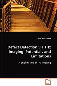 Defect Detection via THz Imaging: Potentials and Limitations