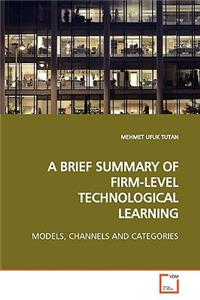 Brief Summary of Firm-Level Technological Learning