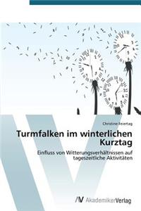 Turmfalken im winterlichen Kurztag