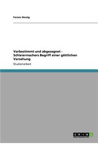 Vorbestimmt und abgesegnet - Schleiermachers Begriff einer göttlichen Vorsehung