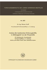 Analyse Der Instationären Strömungskräfte in Abhängigkeit Von Der Wassertiefe