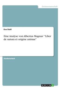 Eine Analyse von Albertus Magnus' 