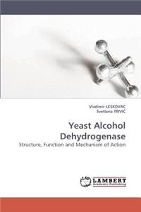 Yeast Alcohol Dehydrogenase