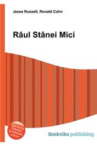 Raul Stanei Mici