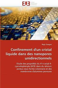 Confinement d''un Cristal Liquide Dans Des Nanopores Unidirectionnels