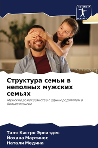 Структура семьи в неполных мужских семьях