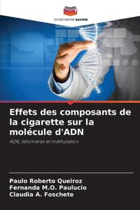 Effets des composants de la cigarette sur la molécule d'ADN